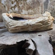 Petrified Wood Stone Basin gallery detail image