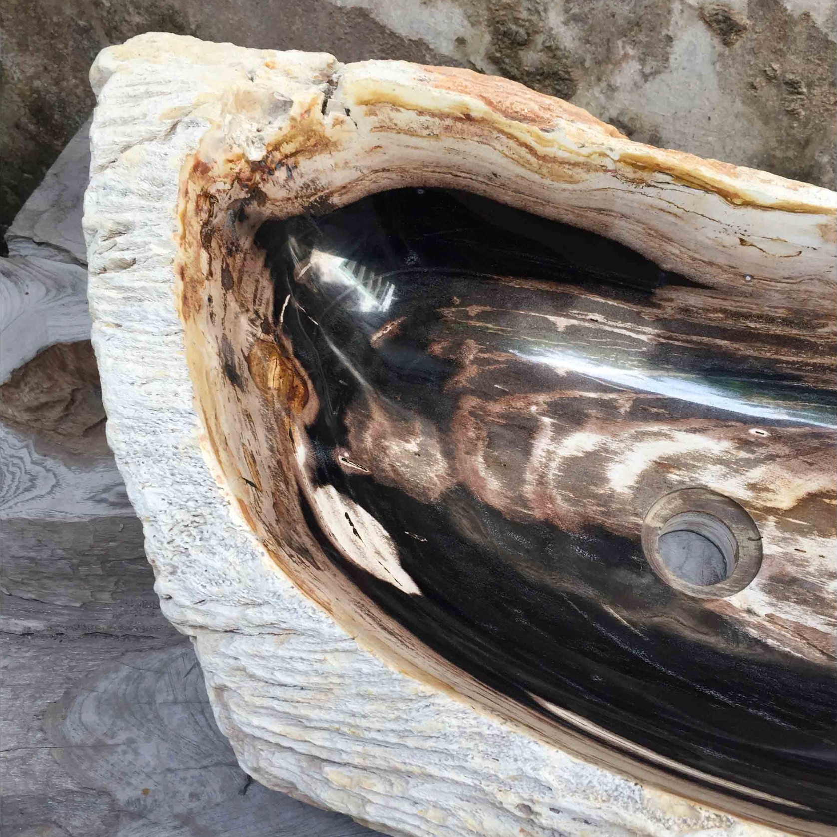 Petrified Wood Stone Basin gallery detail image