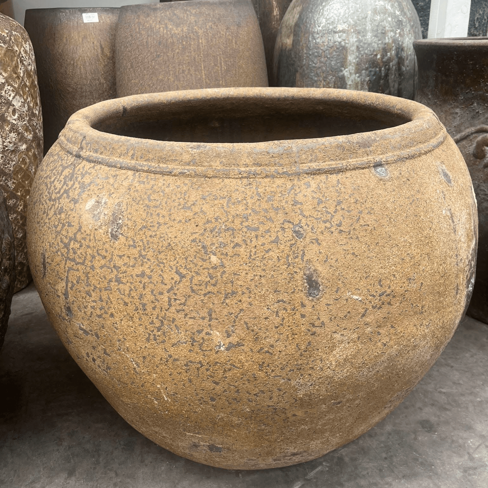 Atlantis - Stewpot Planter gallery detail image