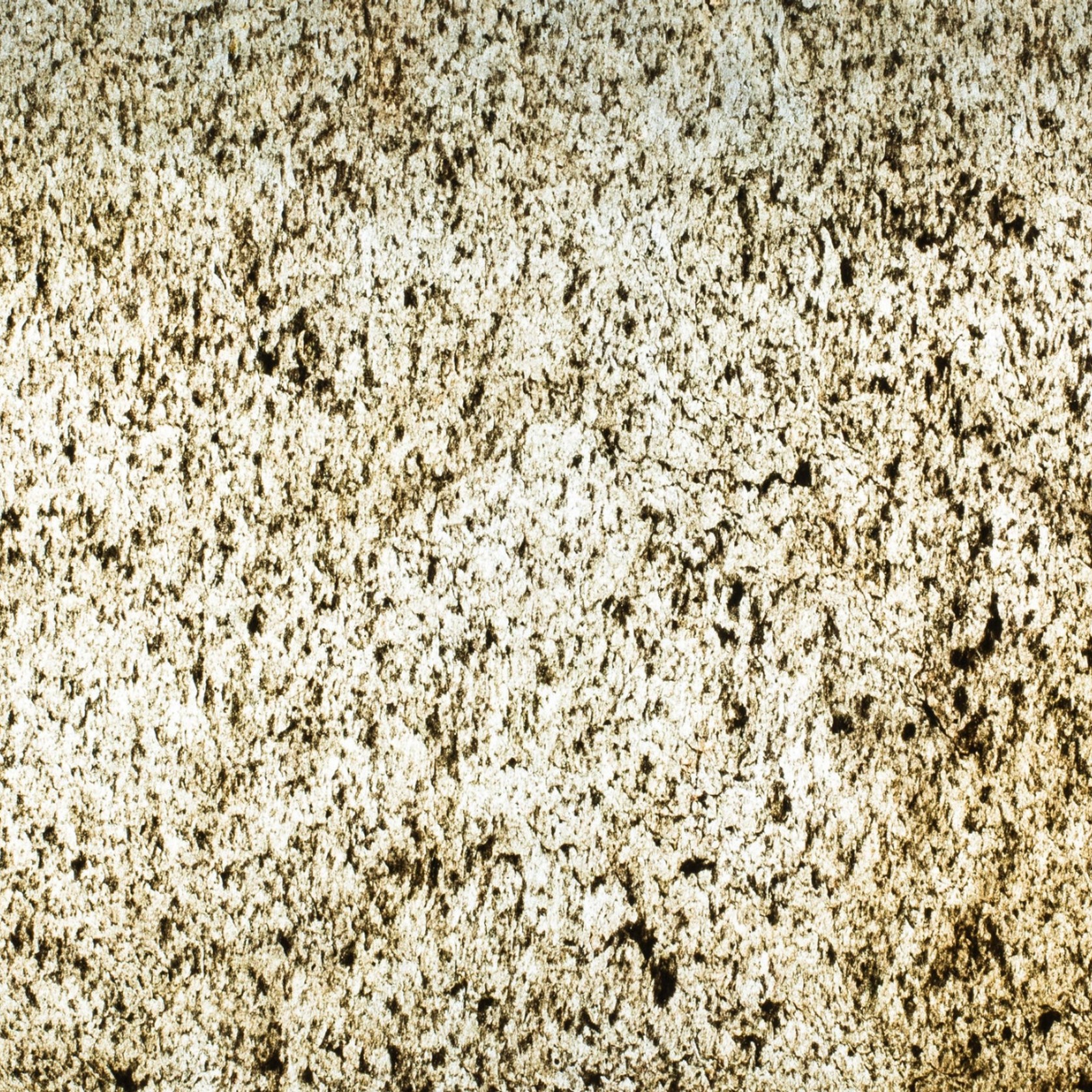 Desert Gold (Translucent) Natural Thin Stone Veneers gallery detail image