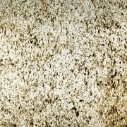 Desert Gold (Translucent) Natural Thin Stone Veneers gallery detail image