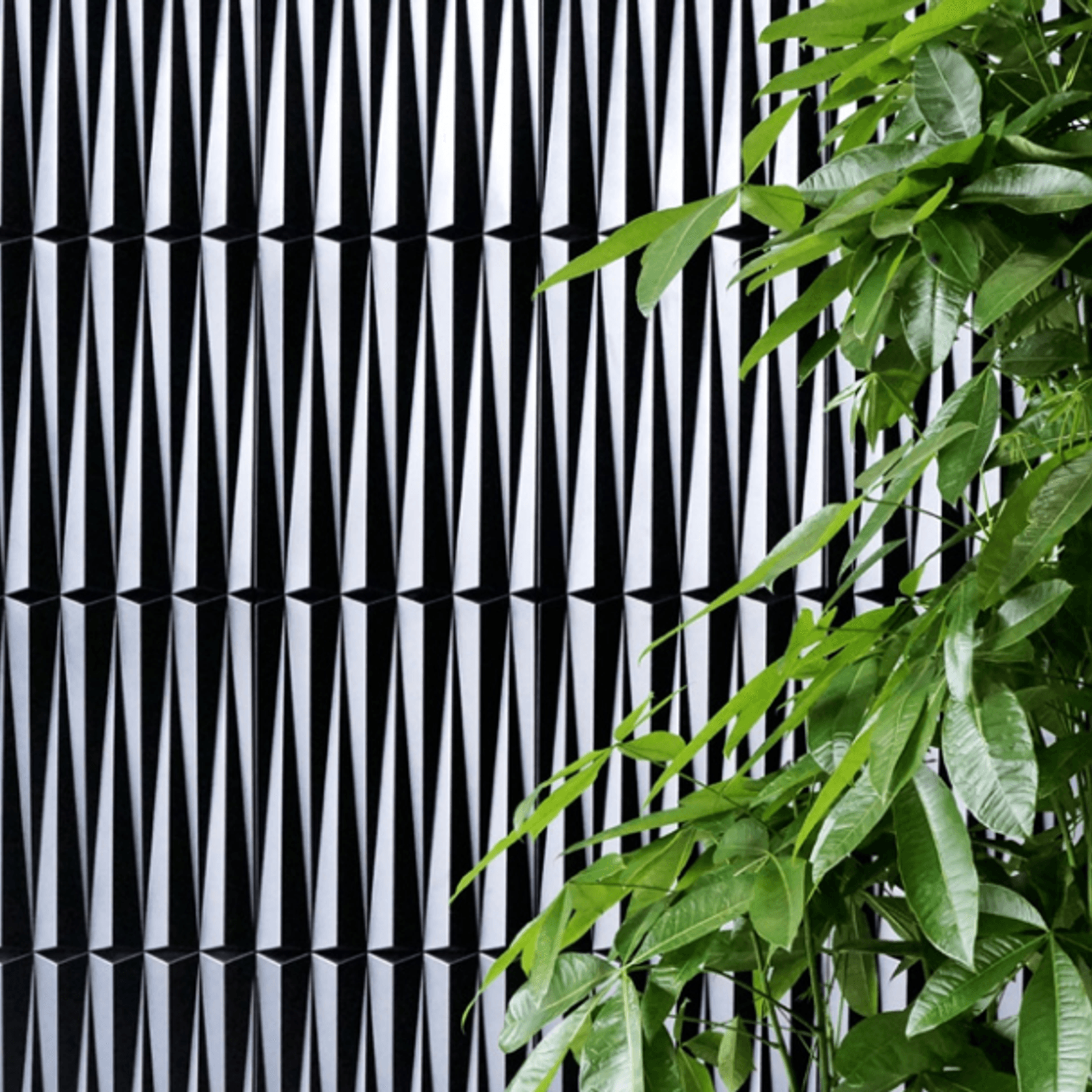 Soho gallery detail image