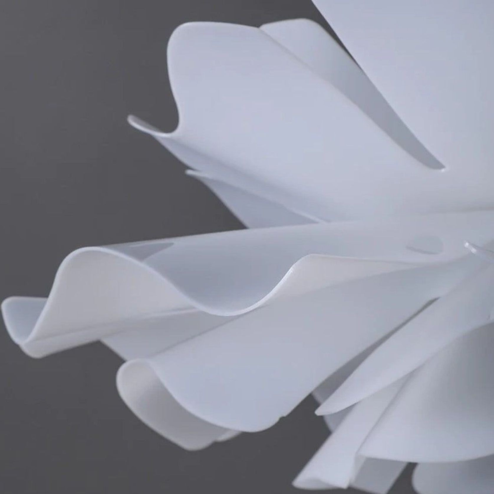 Lily Contemporary Chandelier gallery detail image