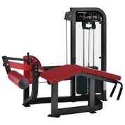 Hammer Select | Leg Curl gallery detail image