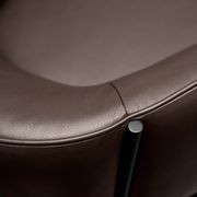 Sepal Lounge Chair gallery detail image