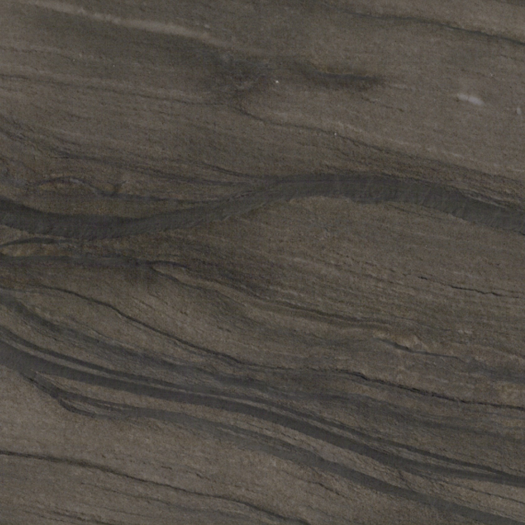 Sequoia Brown gallery detail image