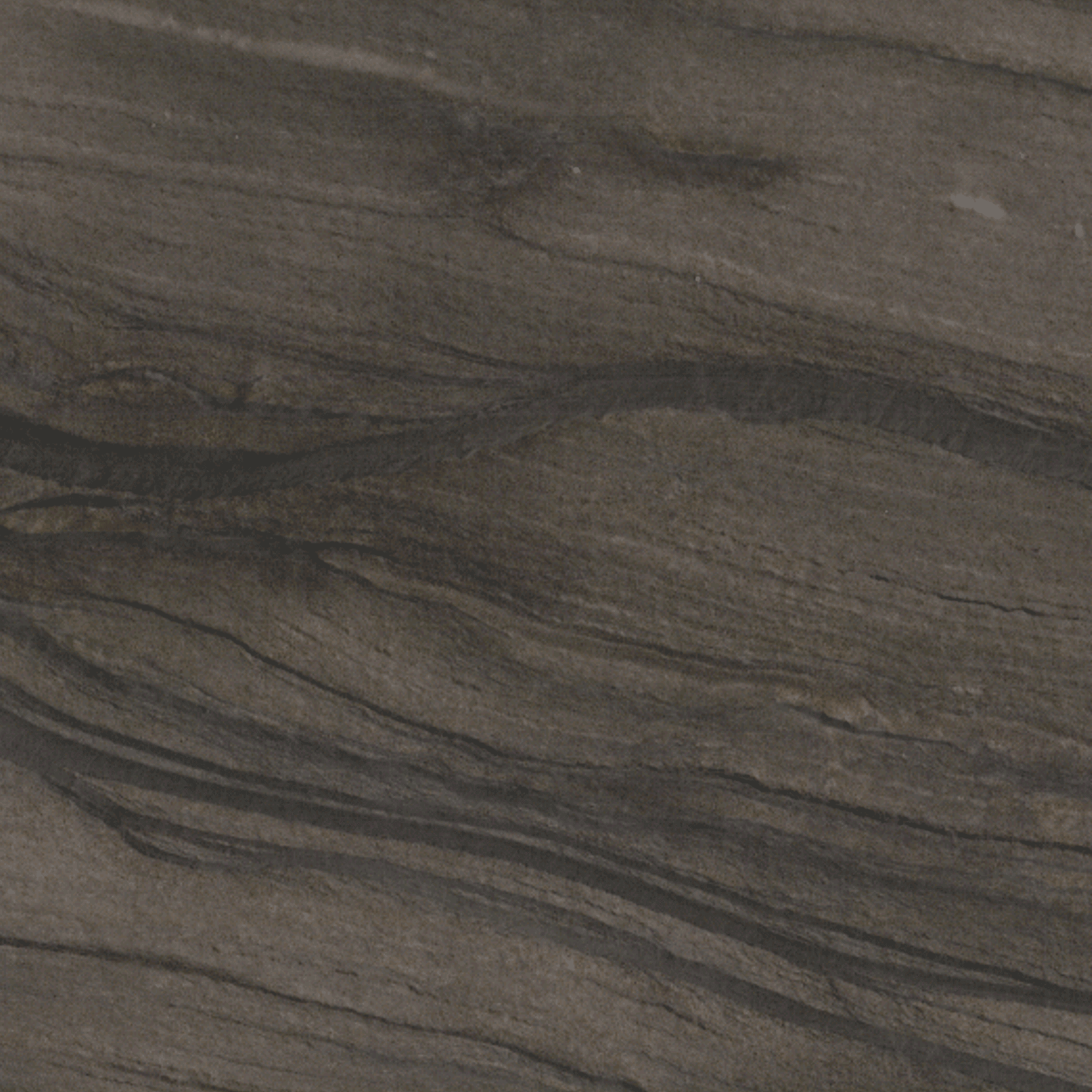 Sequoia Brown gallery detail image