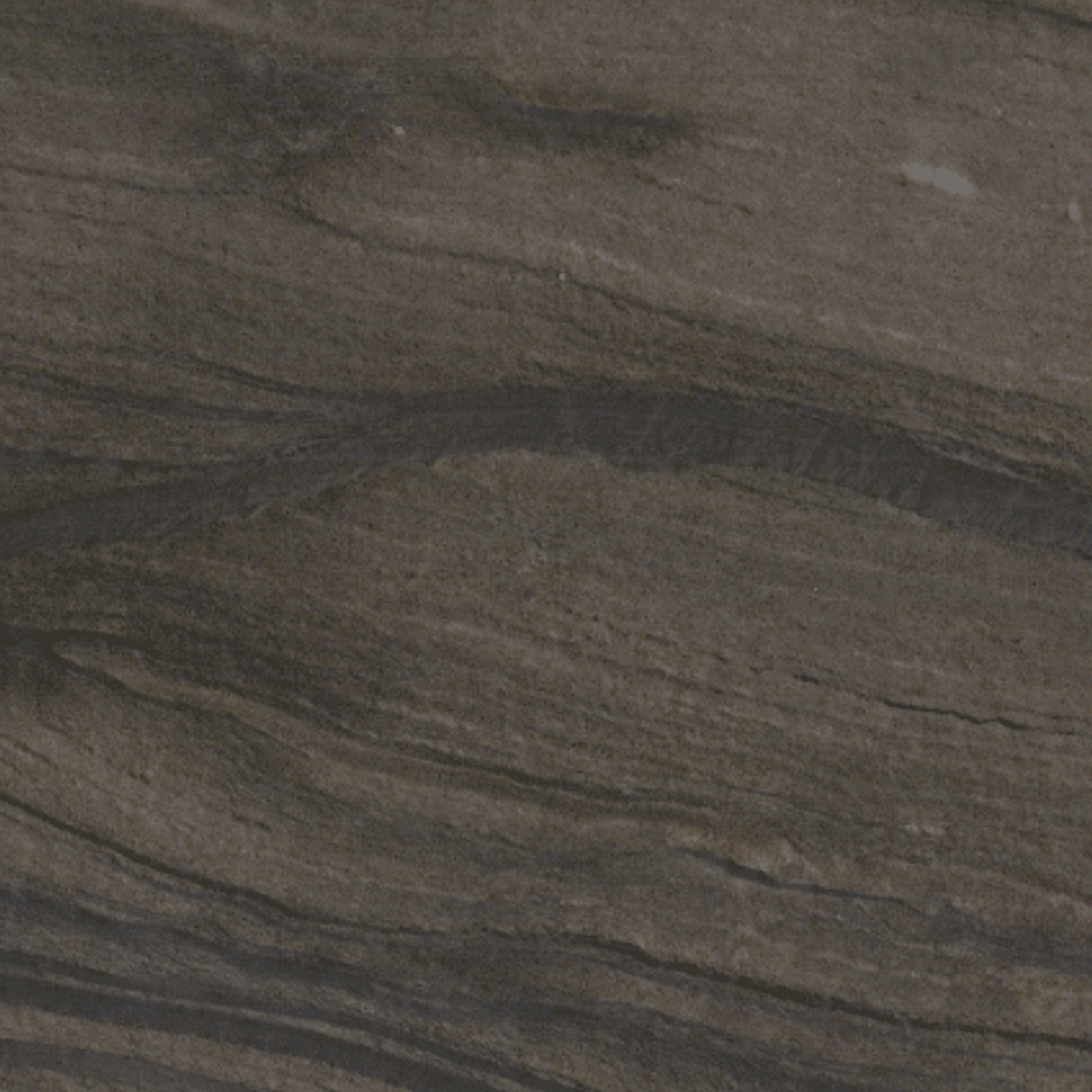 Sequoia Brown gallery detail image