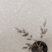 Shell Gray 60x60 gallery detail image