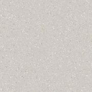 Shell Gray 60x60 gallery detail image