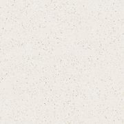 Shell White 60x60 gallery detail image