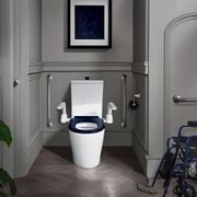 Sierra Back to Wall Toilet gallery detail image