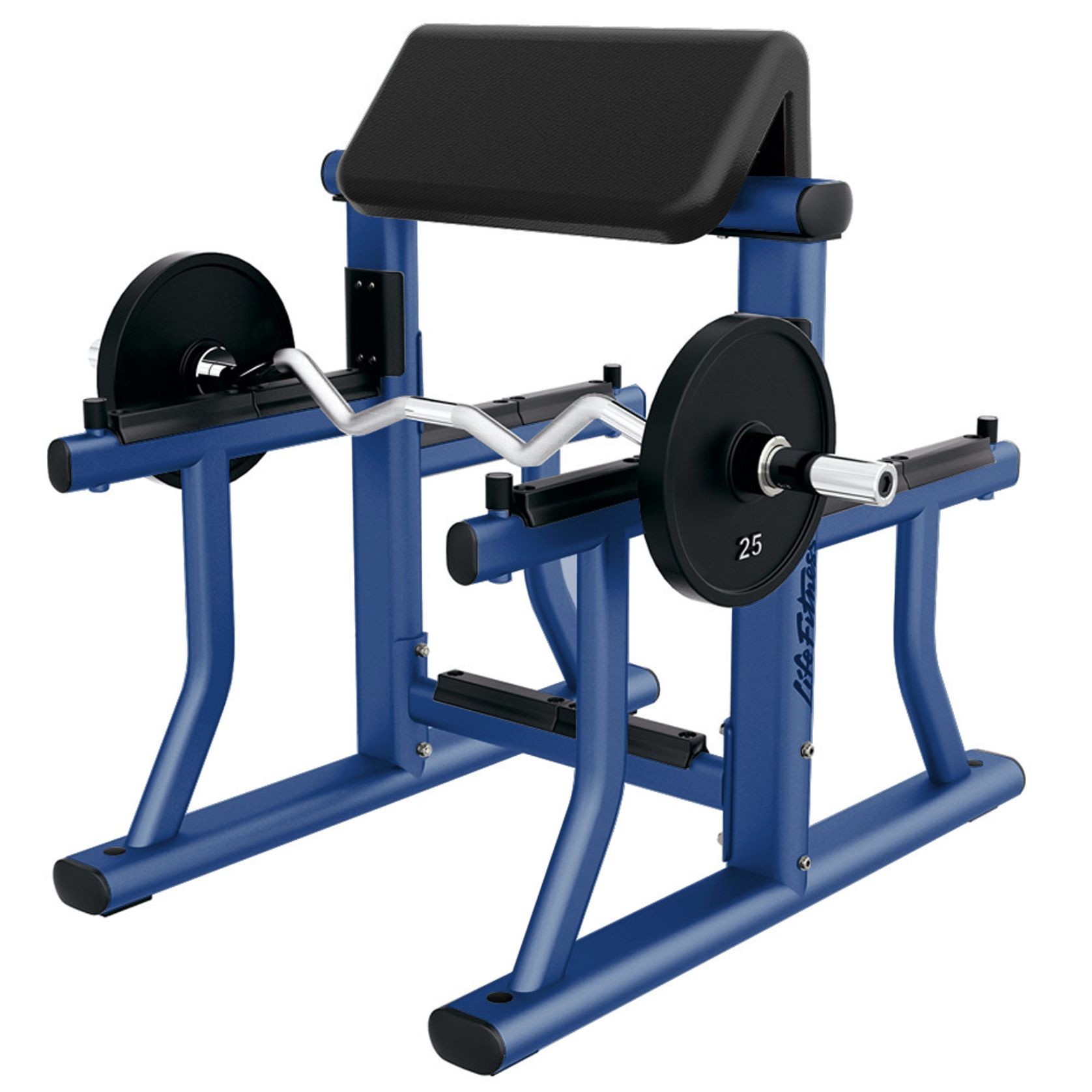 Signature | Arm Curl Bench gallery detail image