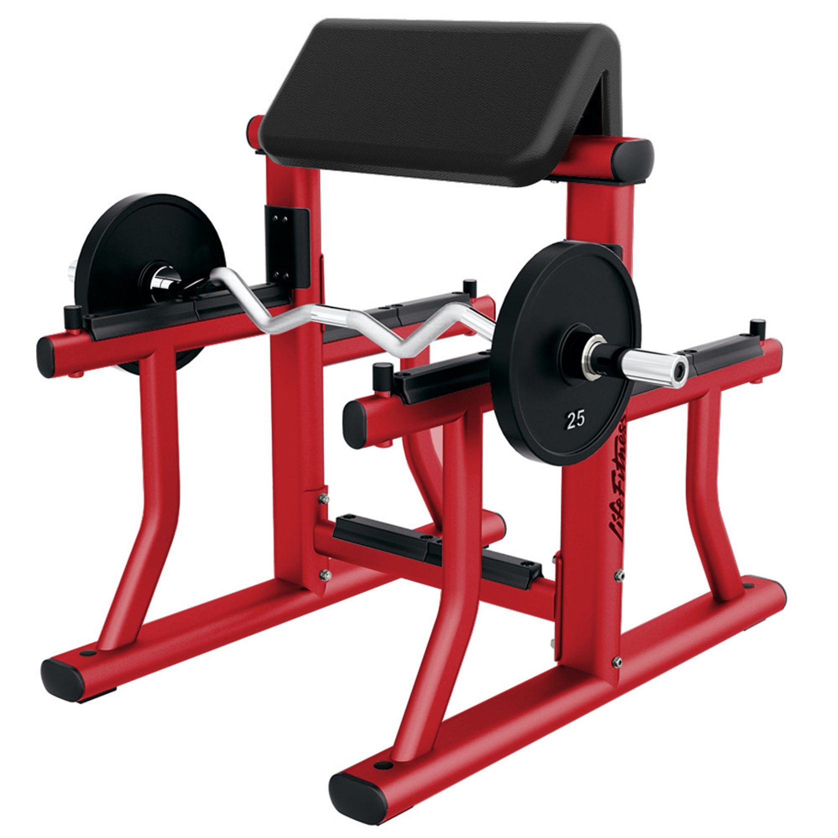 Signature | Arm Curl Bench gallery detail image