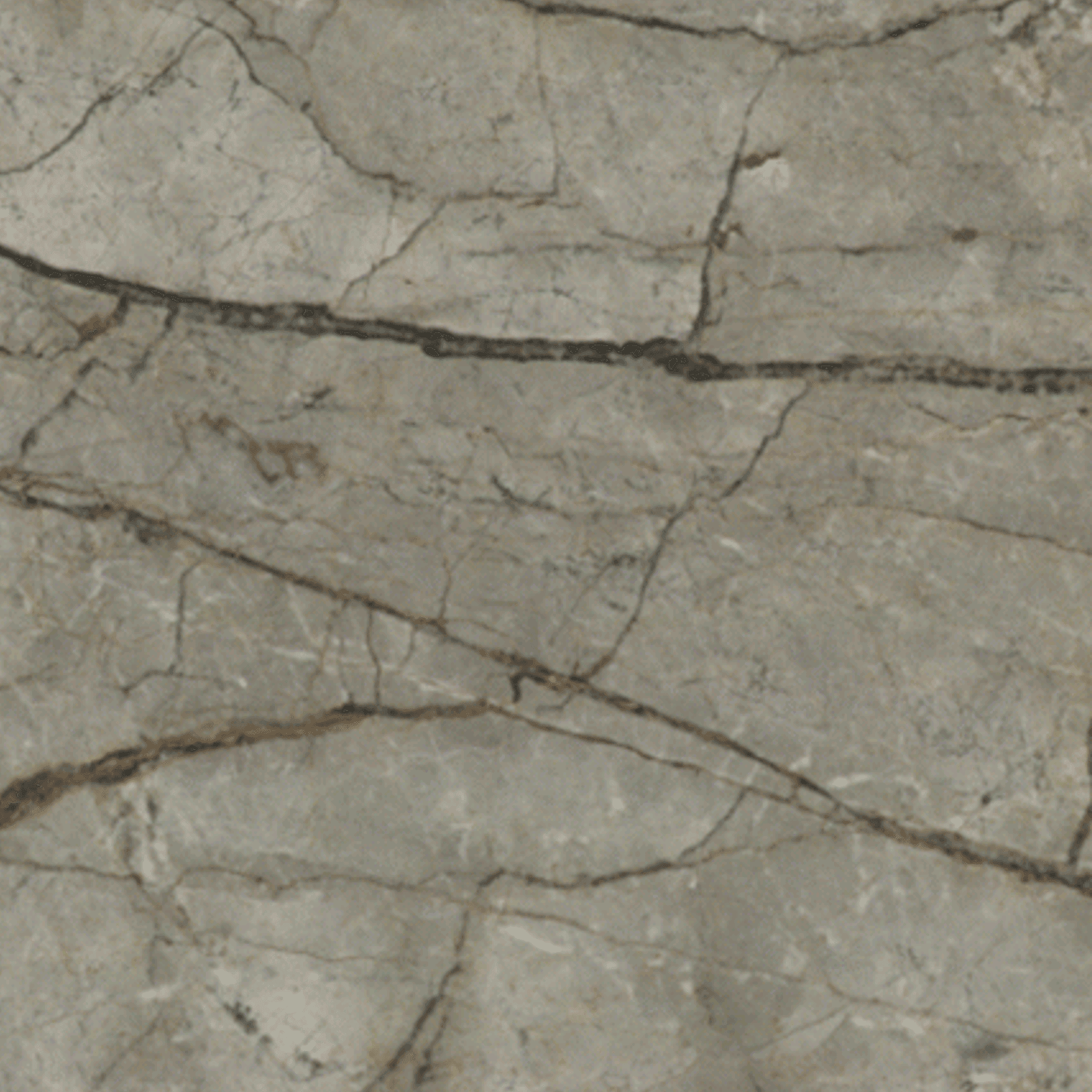 Silver River/Silver Roots gallery detail image