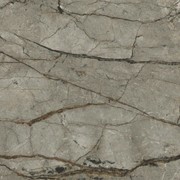 Silver Roots gallery detail image