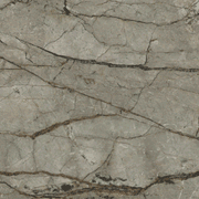 Silver Roots gallery detail image