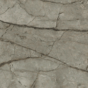 Silver River/Silver Roots gallery detail image