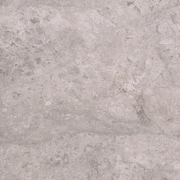 Silver Shadow gallery detail image
