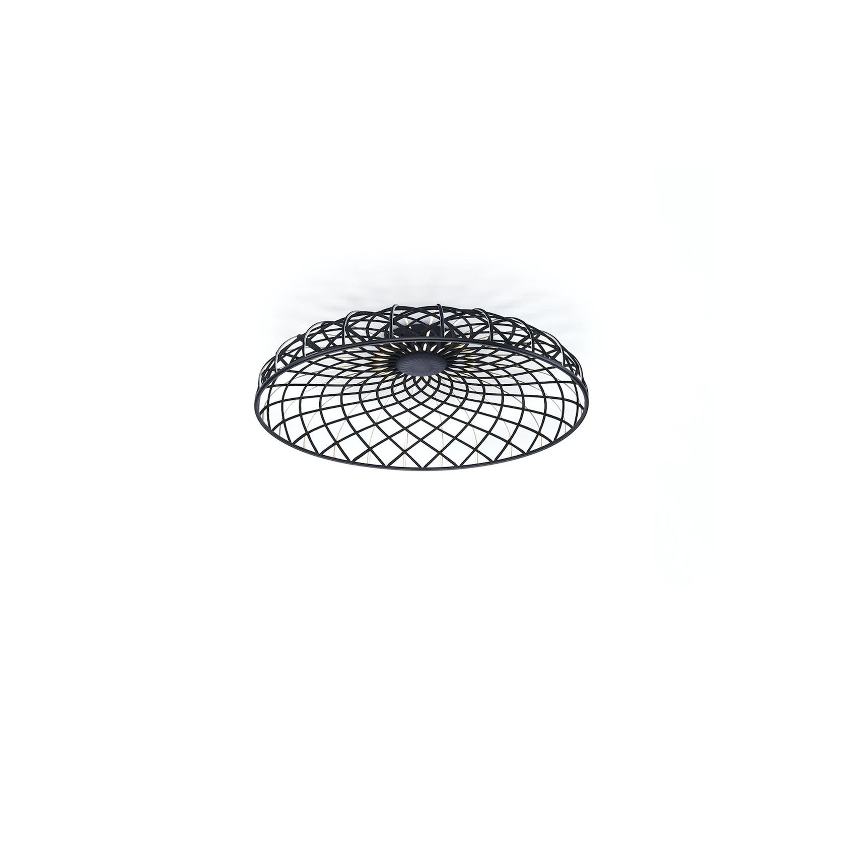 Skynest Ceiling gallery detail image