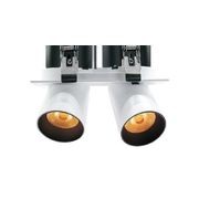 Twin Square Snoot 2x25W Feature Downlight gallery detail image