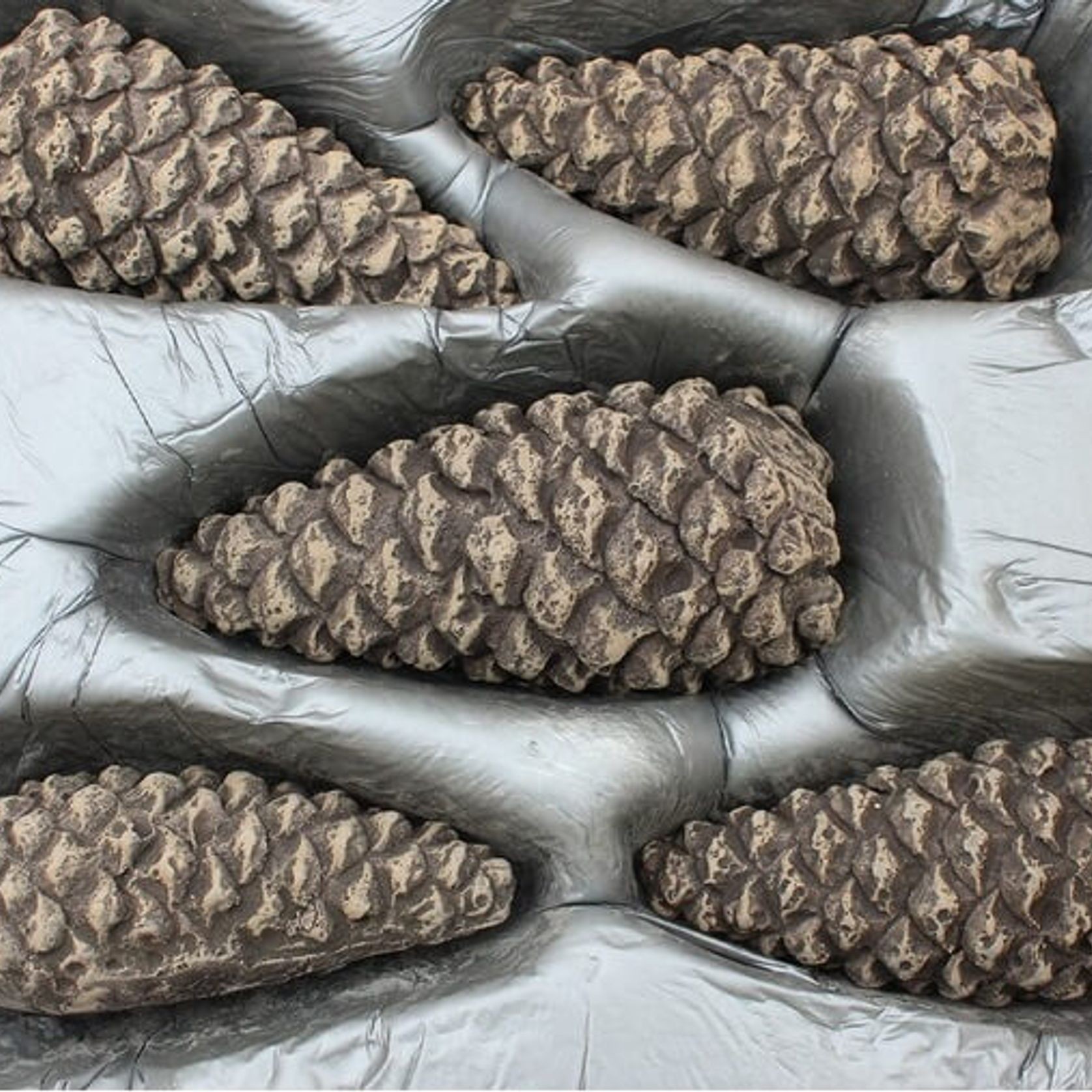 Pinecone set gallery detail image