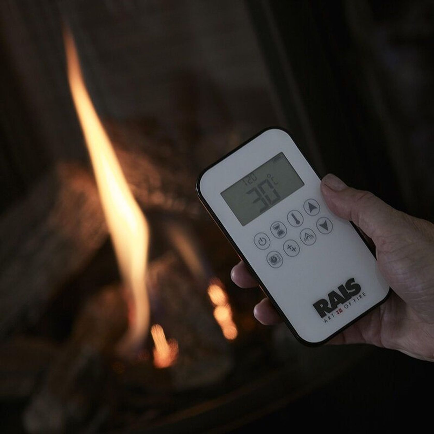 Rais Nexo Gas Fireplace gallery detail image