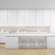 Sofia 600mm Undermount Rangehood gallery detail image