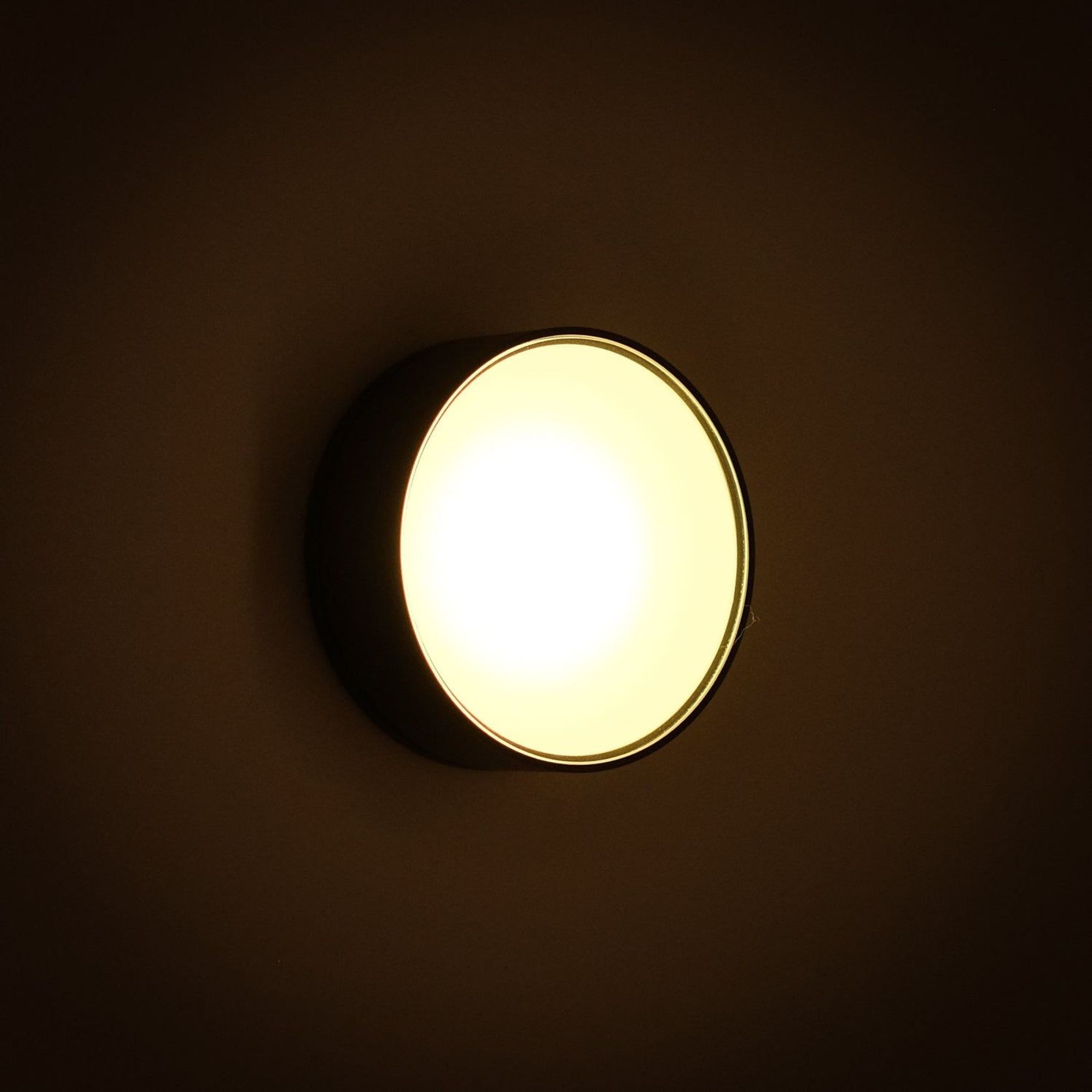 Sol. Fem gallery detail image