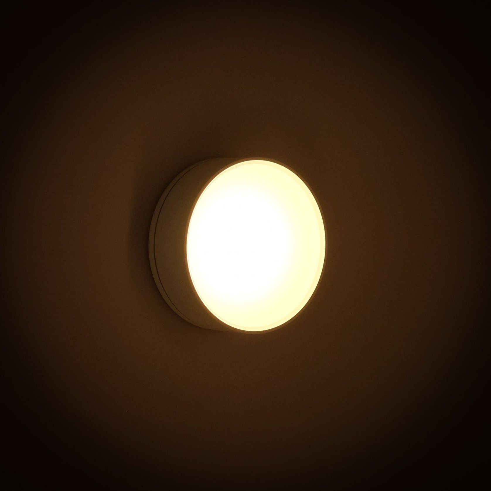 Sol. Fem gallery detail image