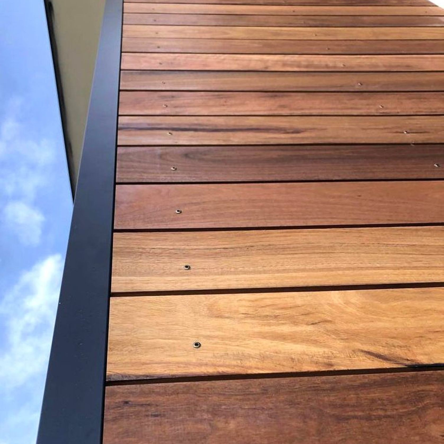 NSW Spotted Gum gallery detail image