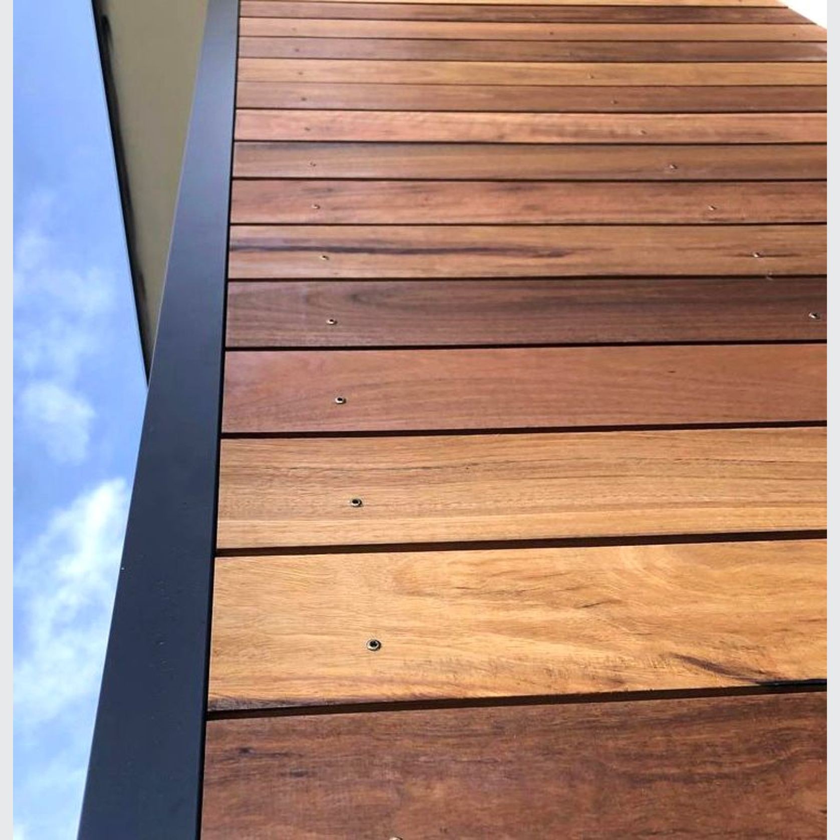 NSW Spotted Gum gallery detail image