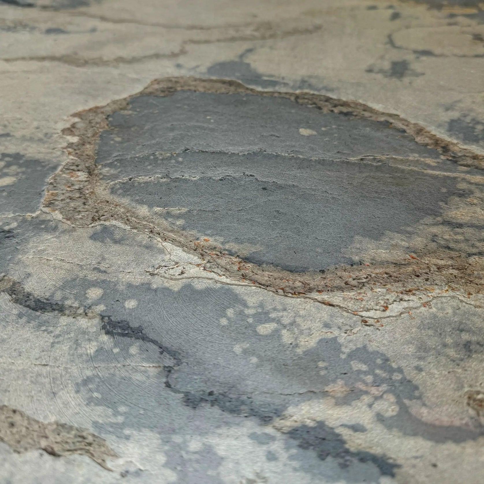 Autumn Rustic Translucent | 2700 x 605mm gallery detail image