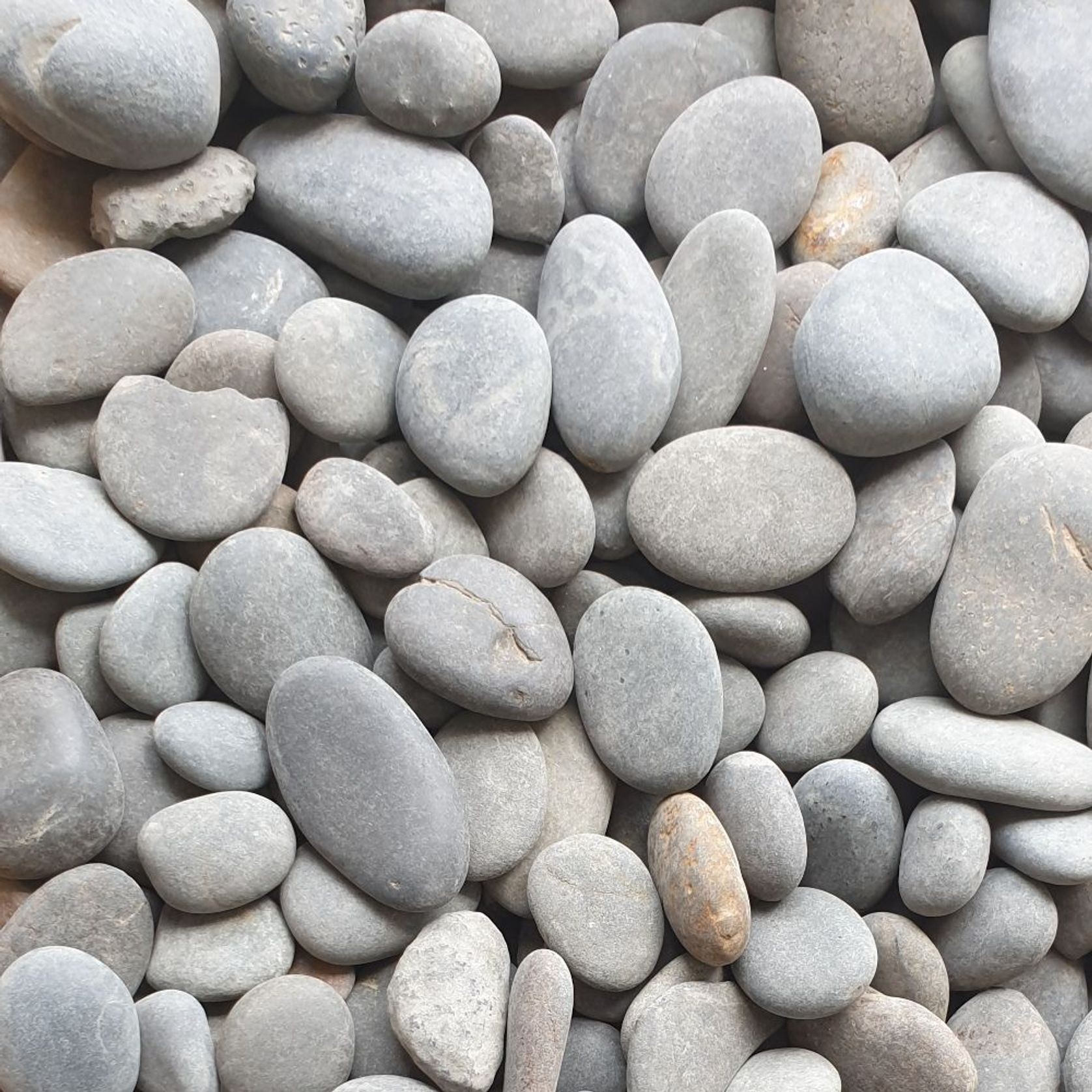 Stoneyard Black Natural Pebbles gallery detail image