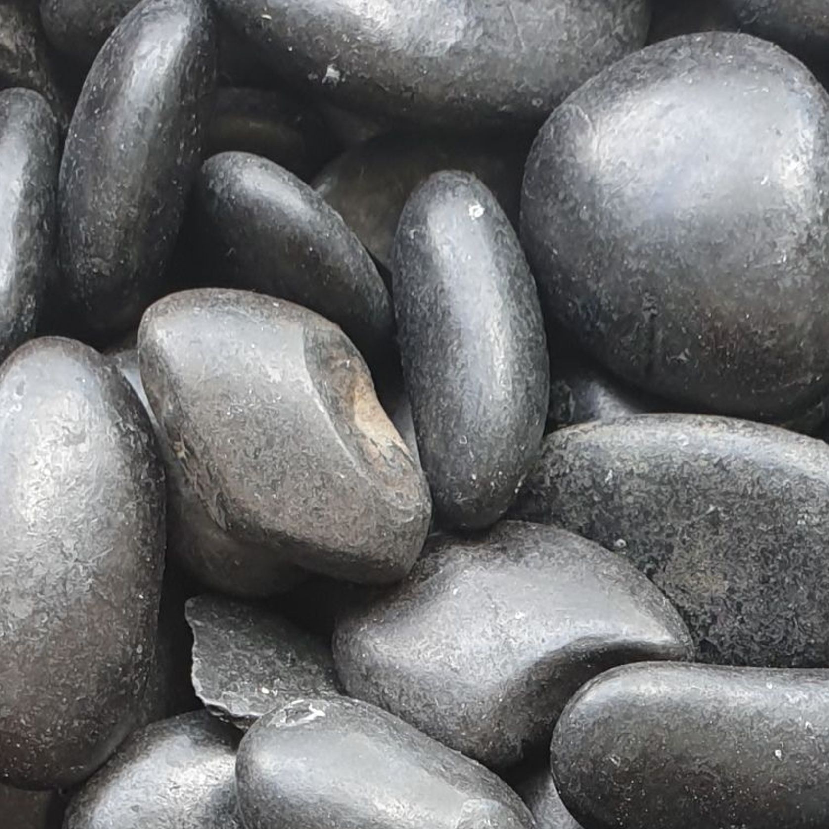 Stoneyard Black Polished Pebbles gallery detail image