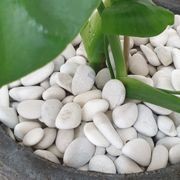 Stoneyard Ivory Pebbles gallery detail image