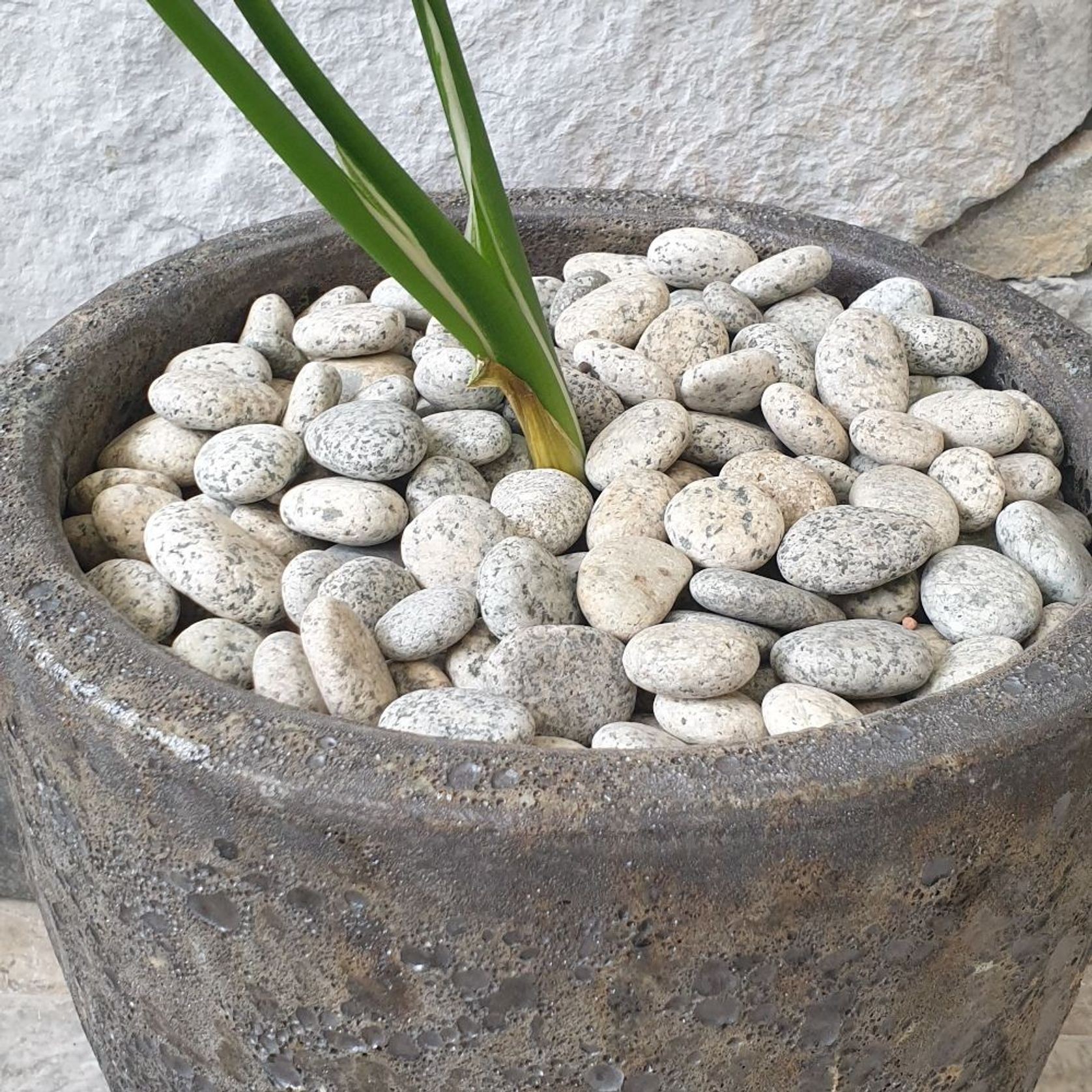Stoneyard Speckled Pebbles gallery detail image
