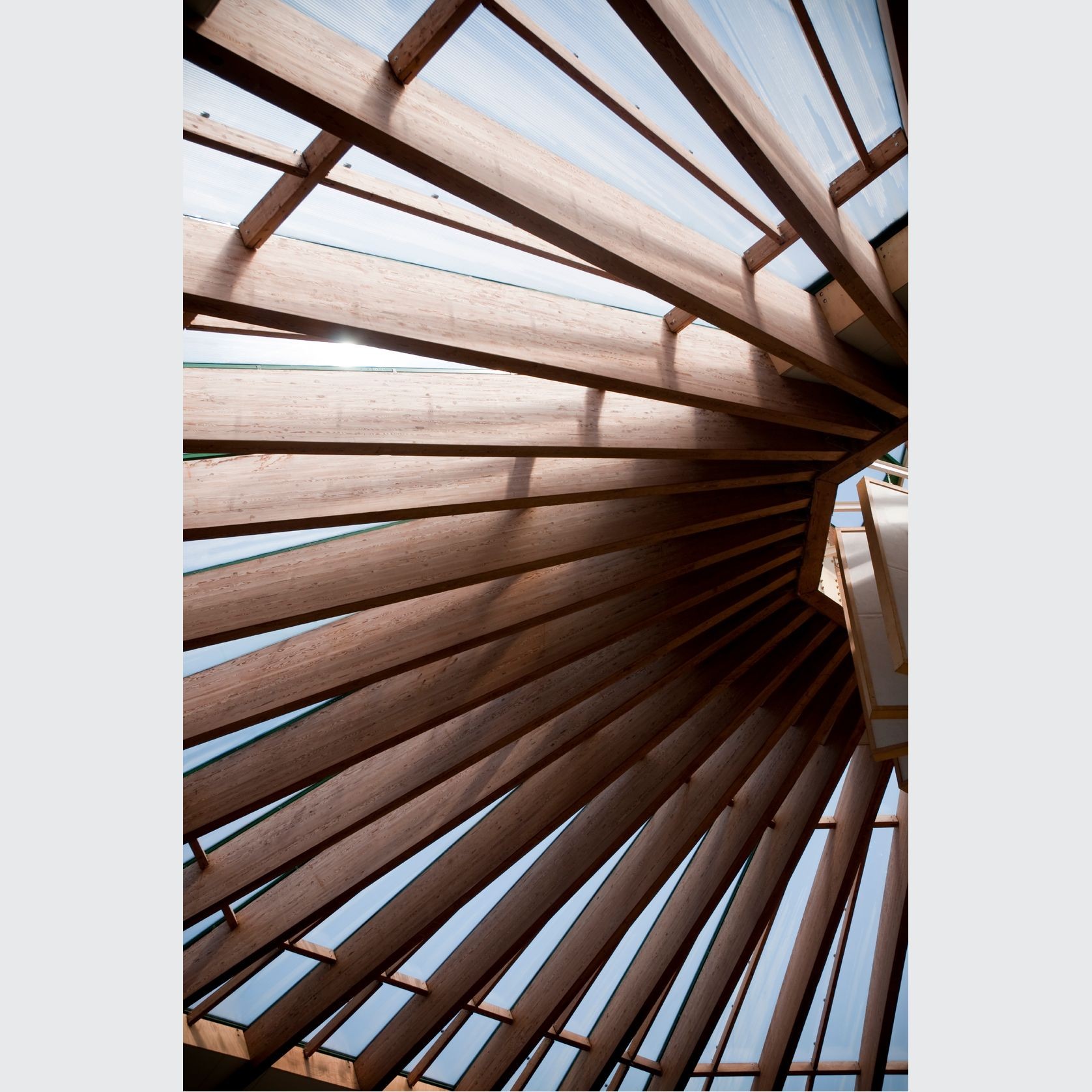 Landscaping & Structural Timber gallery detail image