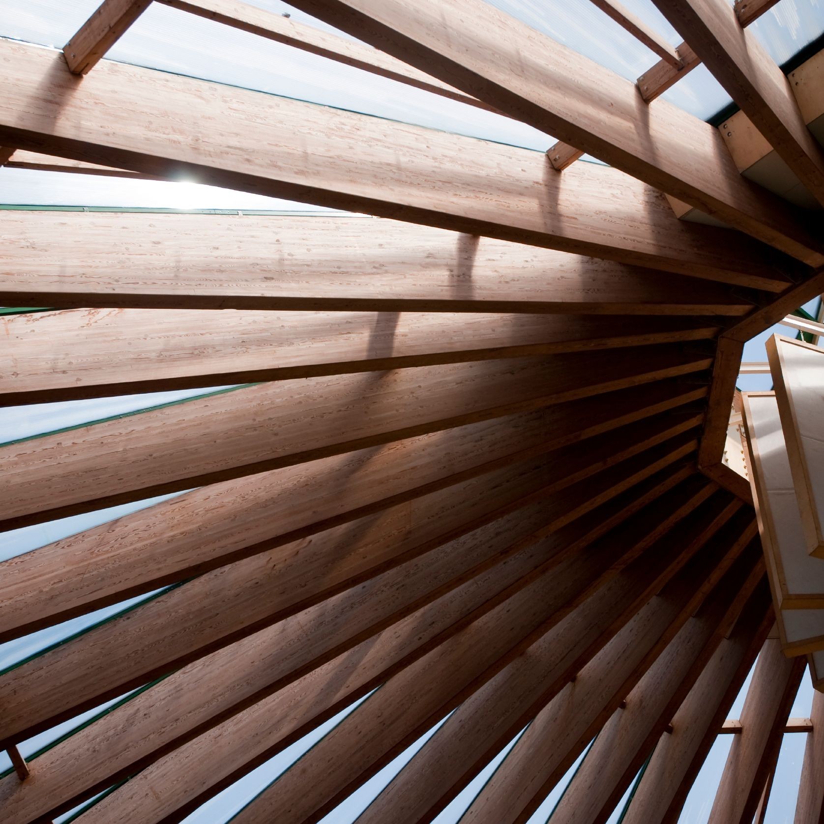 Landscaping & Structural Timber gallery detail image