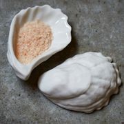 Bounty Shells gallery detail image