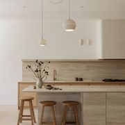 Double Ceiling Rose — Ceramic Twin-Point Pendant Mount gallery detail image