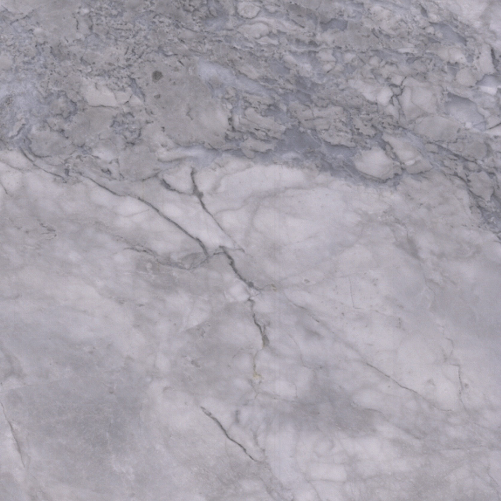 Super White Calacatta gallery detail image
