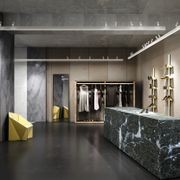 Robin gallery detail image