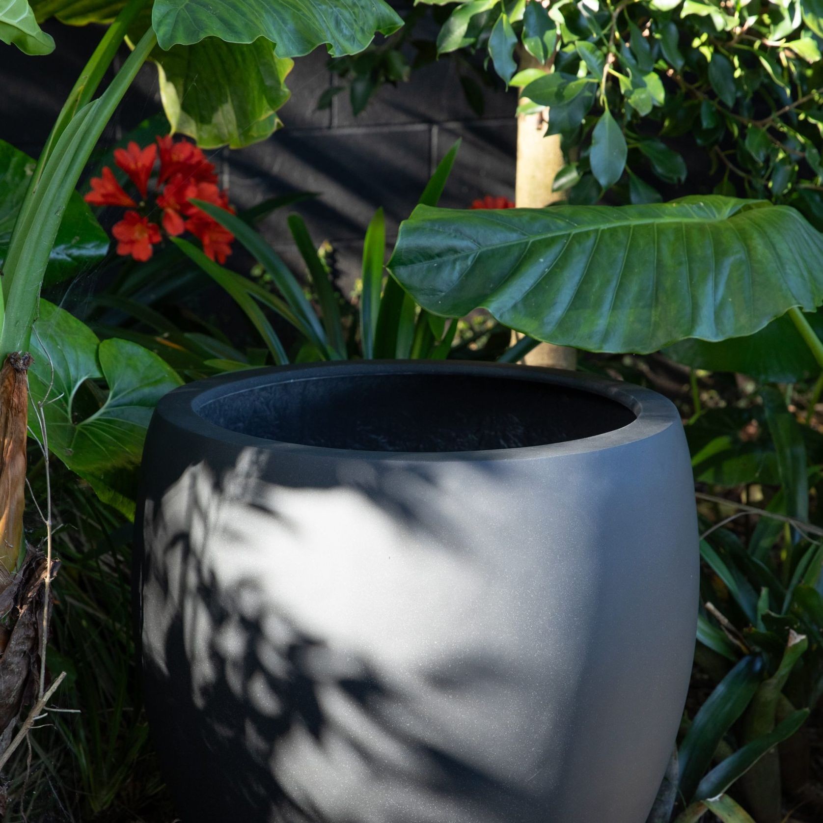 Franoma - Amarillo Planter gallery detail image