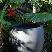 Franoma - Amarillo Planter gallery detail image