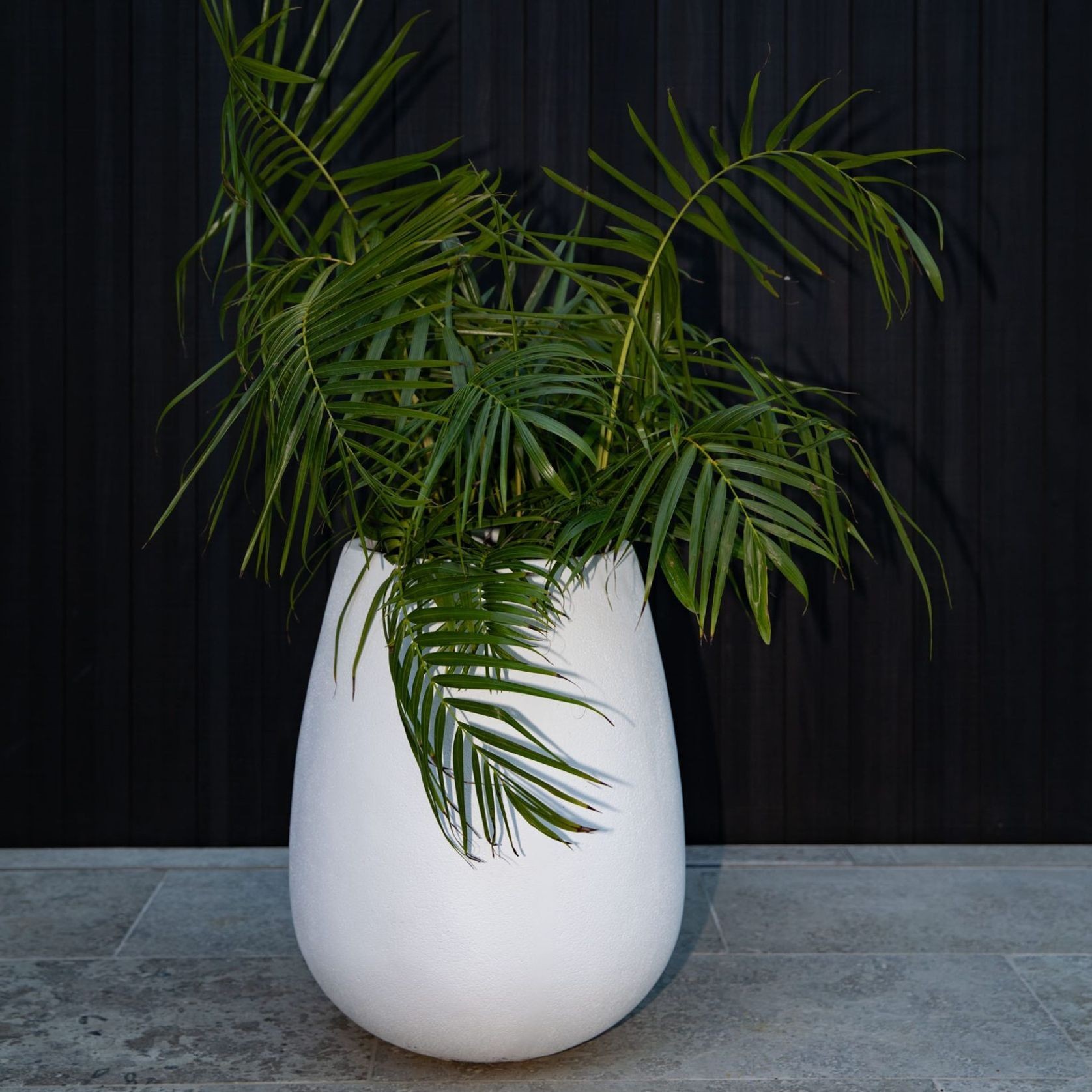 Franoma - Savona Planter gallery detail image