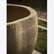 TAALO gallery detail image