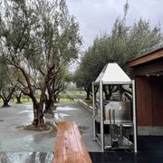 Tagwood BBQ Argentine Wood Fire & Charcoal Grill all Stainless Steel | BBQ02SS gallery detail image