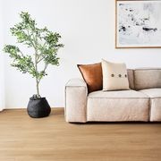 Titan Hybrid Bleached Blackbutt Vinyl Flooring gallery detail image
