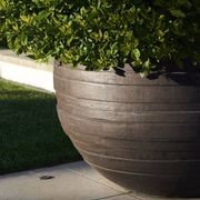 UF gallery detail image